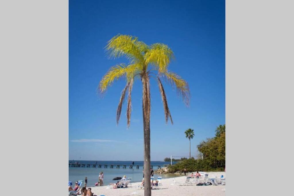 Bay View, Studio206, Beach Steps Away! Pool+Wifi Ruskin Eksteriør billede
